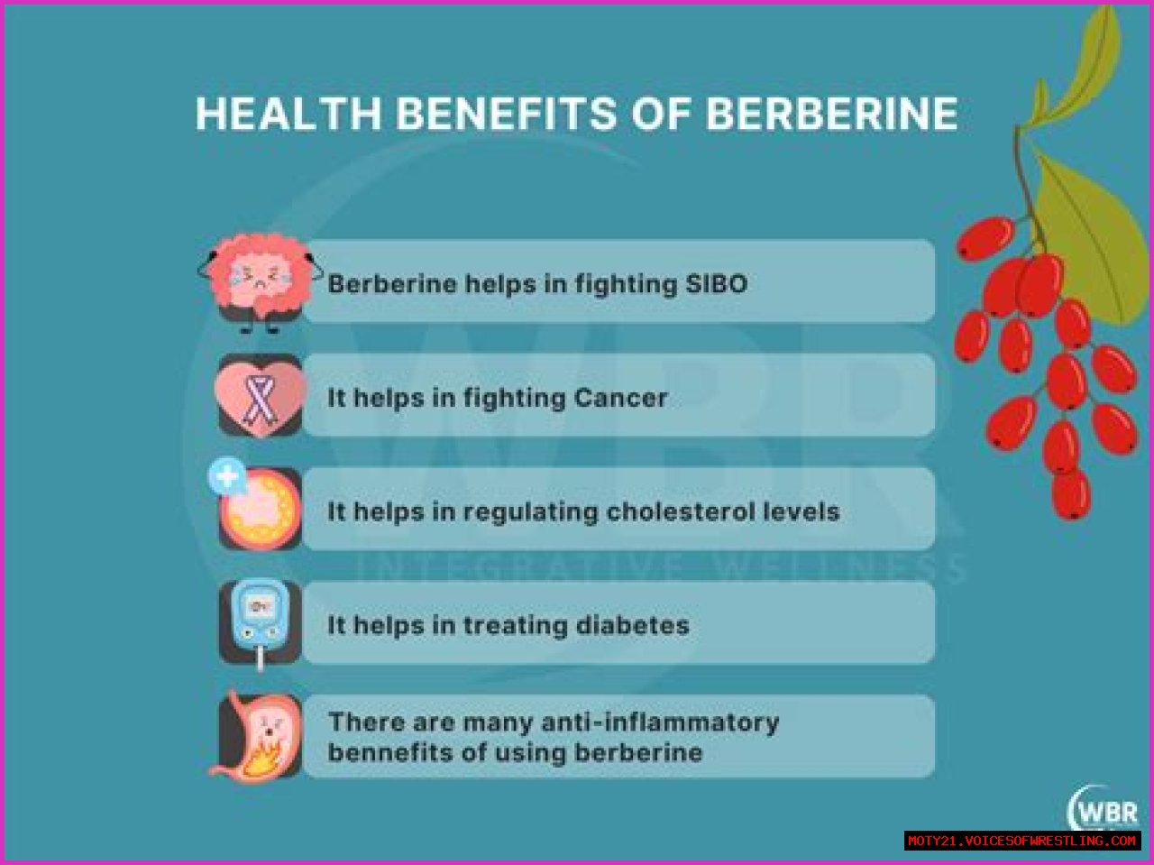 Can You Take Berberine While Pregnant? Risks, Benefits, and Precautions
