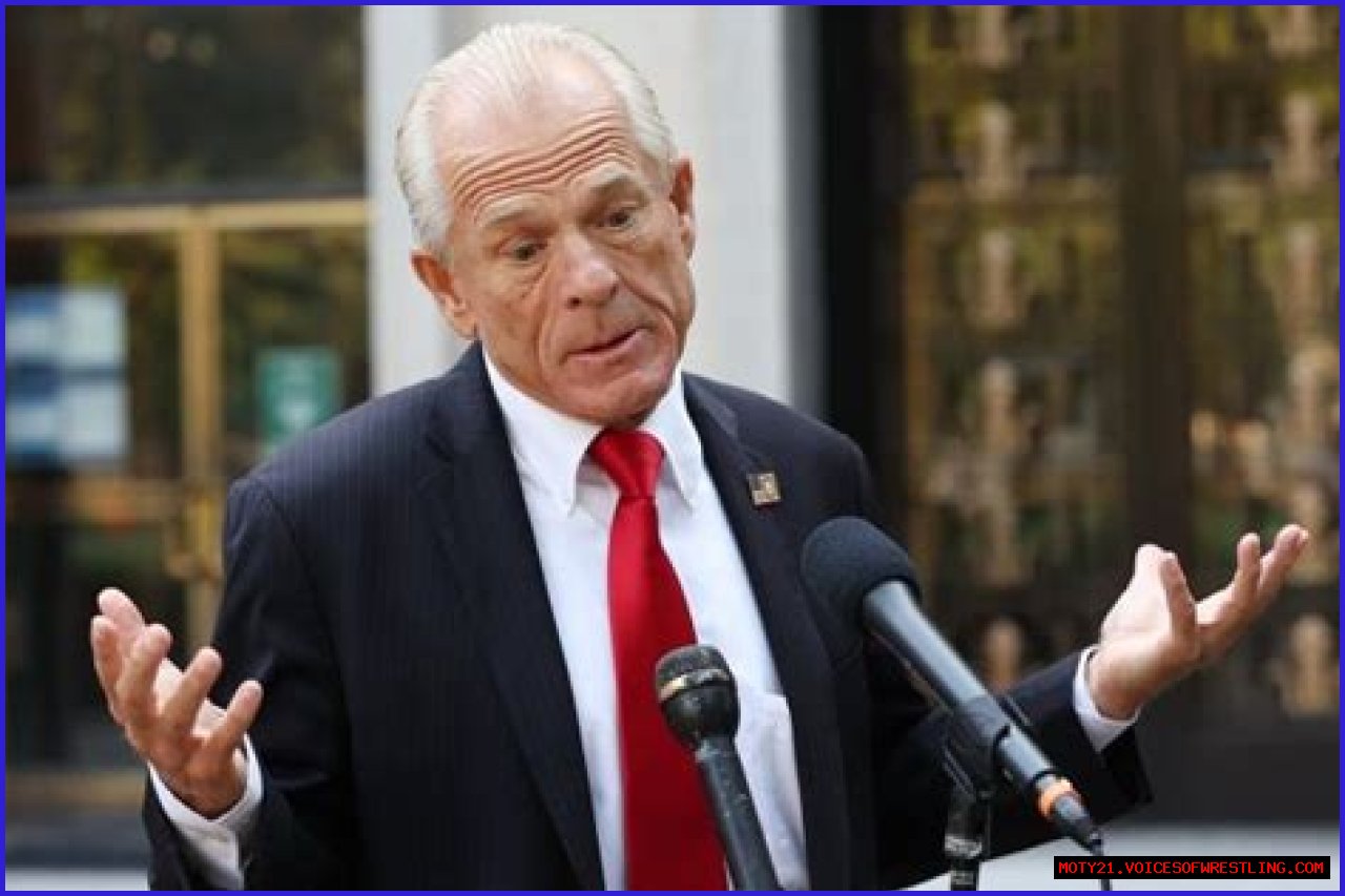 Peter Navarro Net Worth: How Rich Is He? Explore His Controversy And Legal Issues
