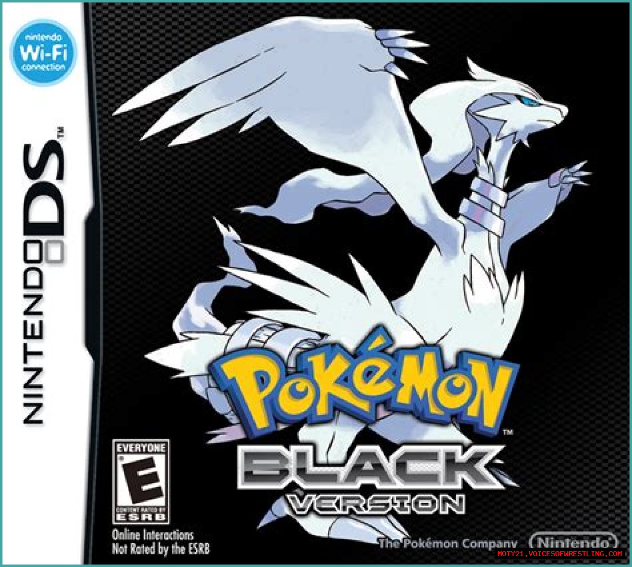 Pokémon Black and White Versions